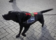 2025-05-17 Openingsrit door Karin Lier (28)